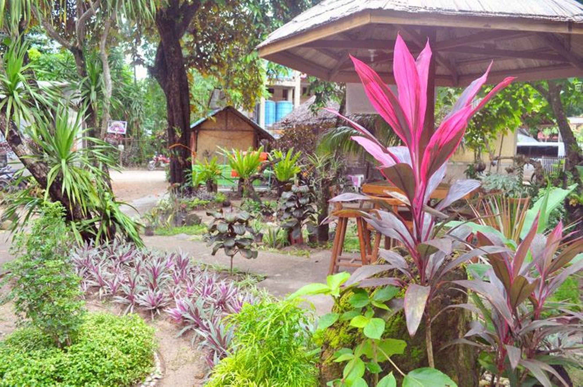 Peak House Garden Pension El Nido Exterior photo